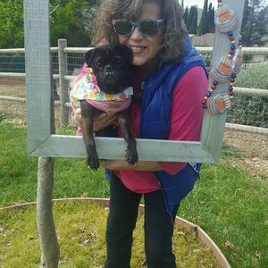 Meet your Posher, Tamra